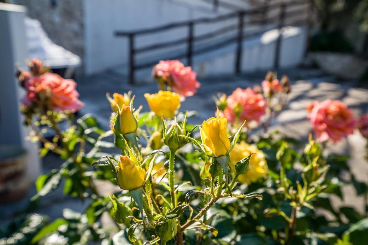 Borgo Canneto Rodi Garganico Exteriér fotografie